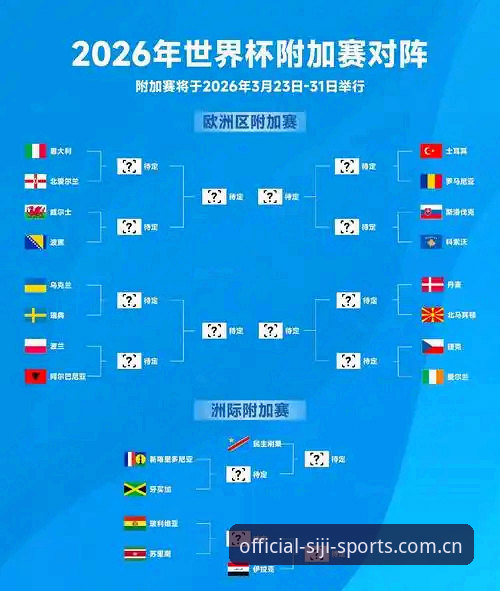 世界杯观赛受阻：签证与地缘政治因素全面解析，四季体育官网深度观察